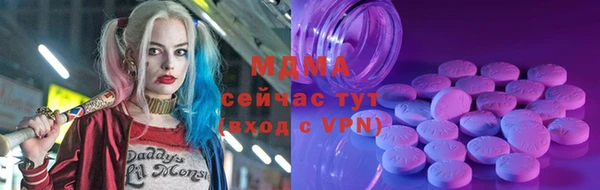 гашик Пересвет