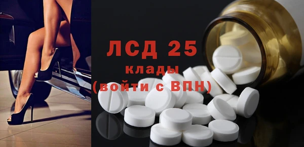 гашик Пересвет