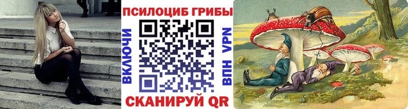 Галлюциногенные грибы Magic Shrooms  Пудож 